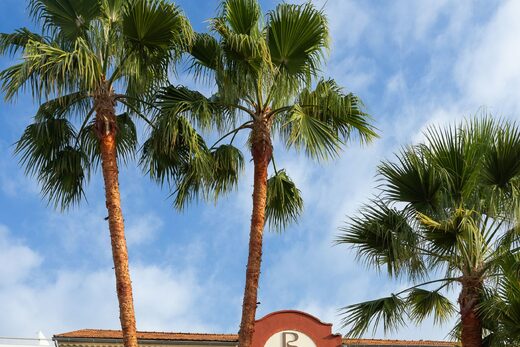 Photo gallery of the ROYALMAR Hotel