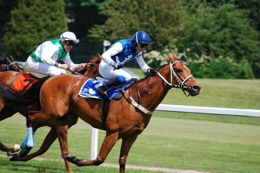 grand criterium de vitesse 2026 -hippodrome de la côte d'azur - hôtel Royalmar cagnes-sur-mer